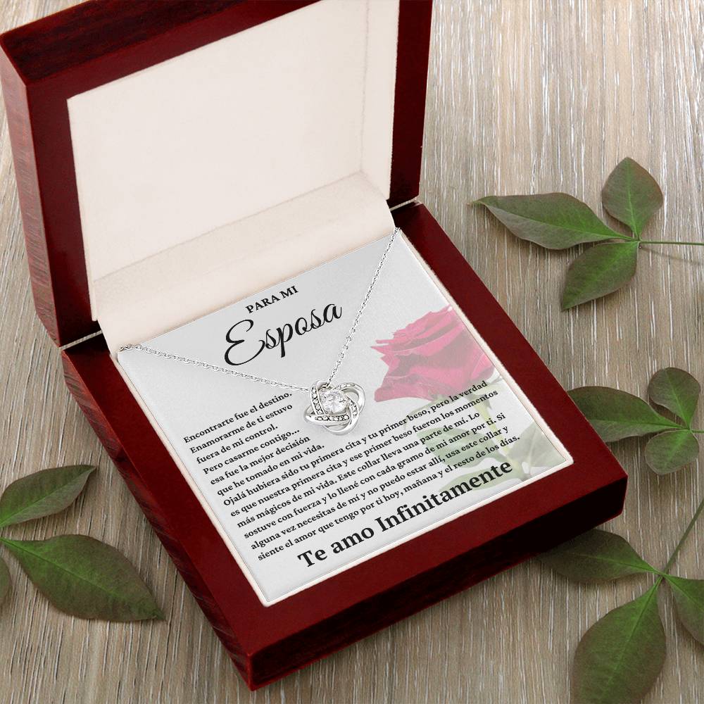 Para Mi Esposa - Encontrarte fue el Destino.-