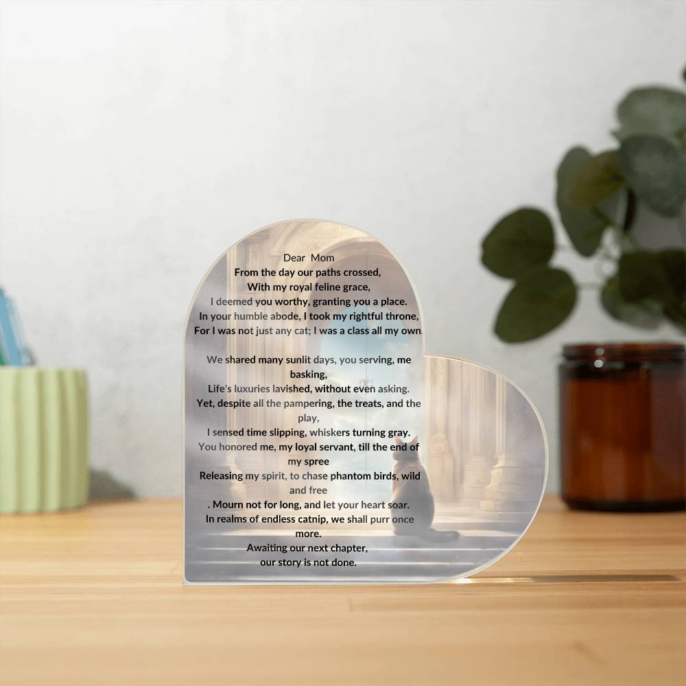 Placa conmemorativa del gato mimado