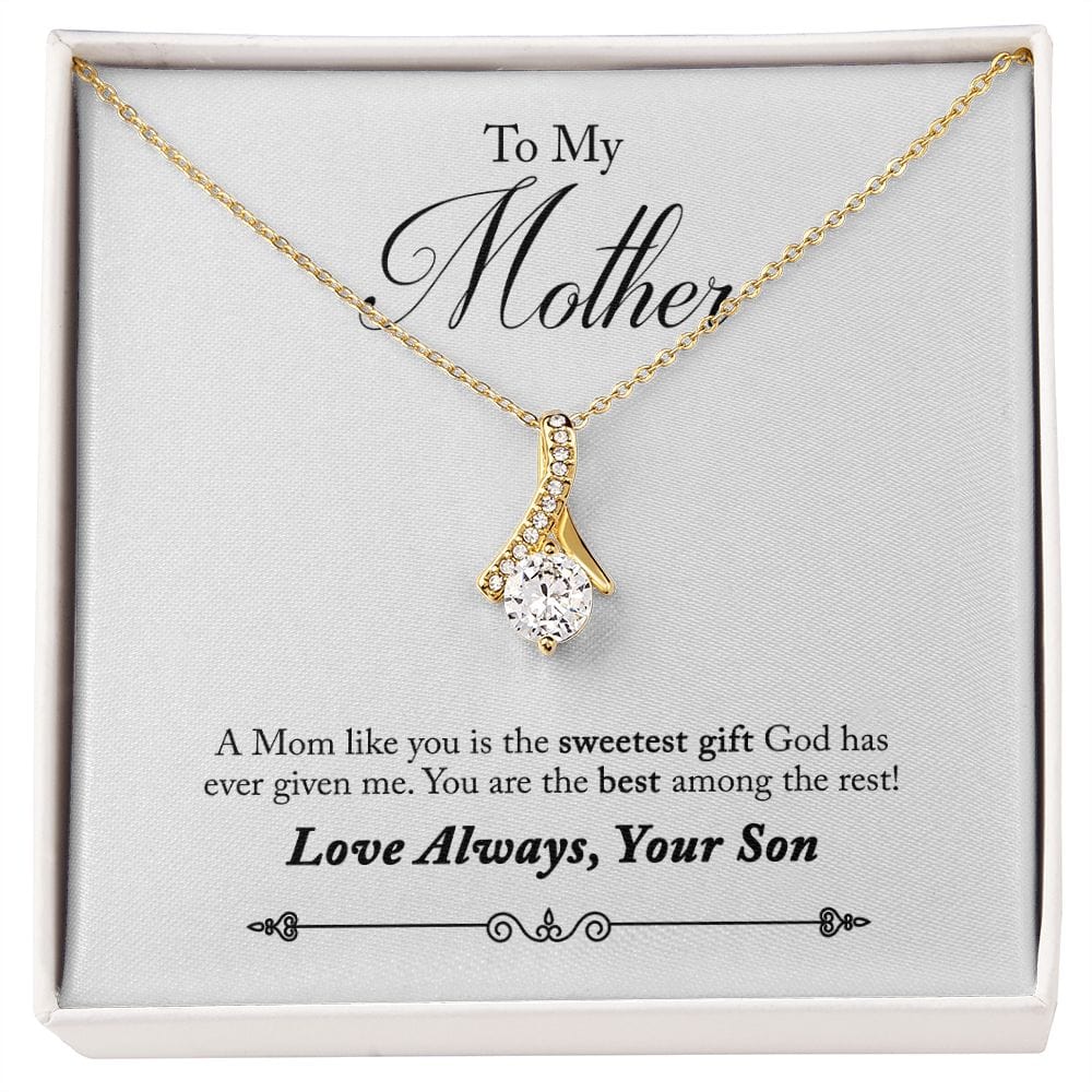 A la madre del hijo: eres el mejor collar de belleza seductor