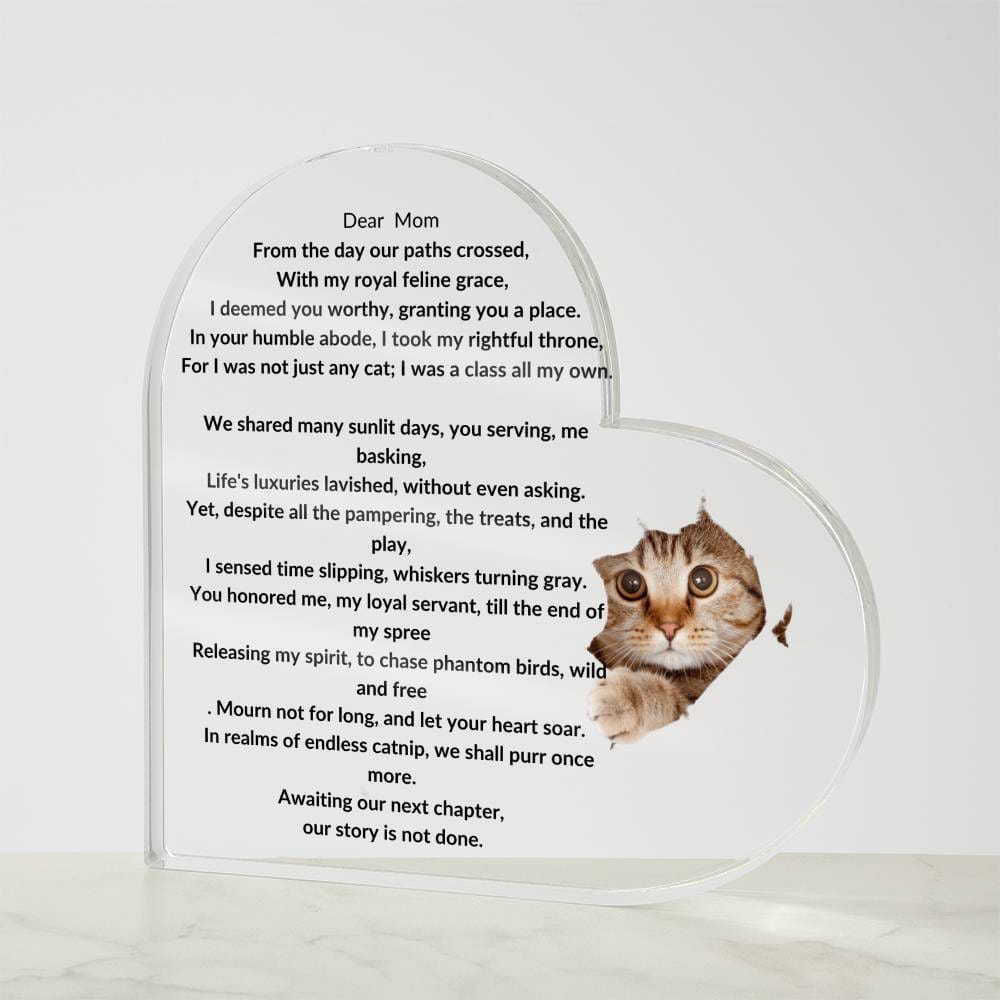 Placa conmemorativa de acrílico del gato