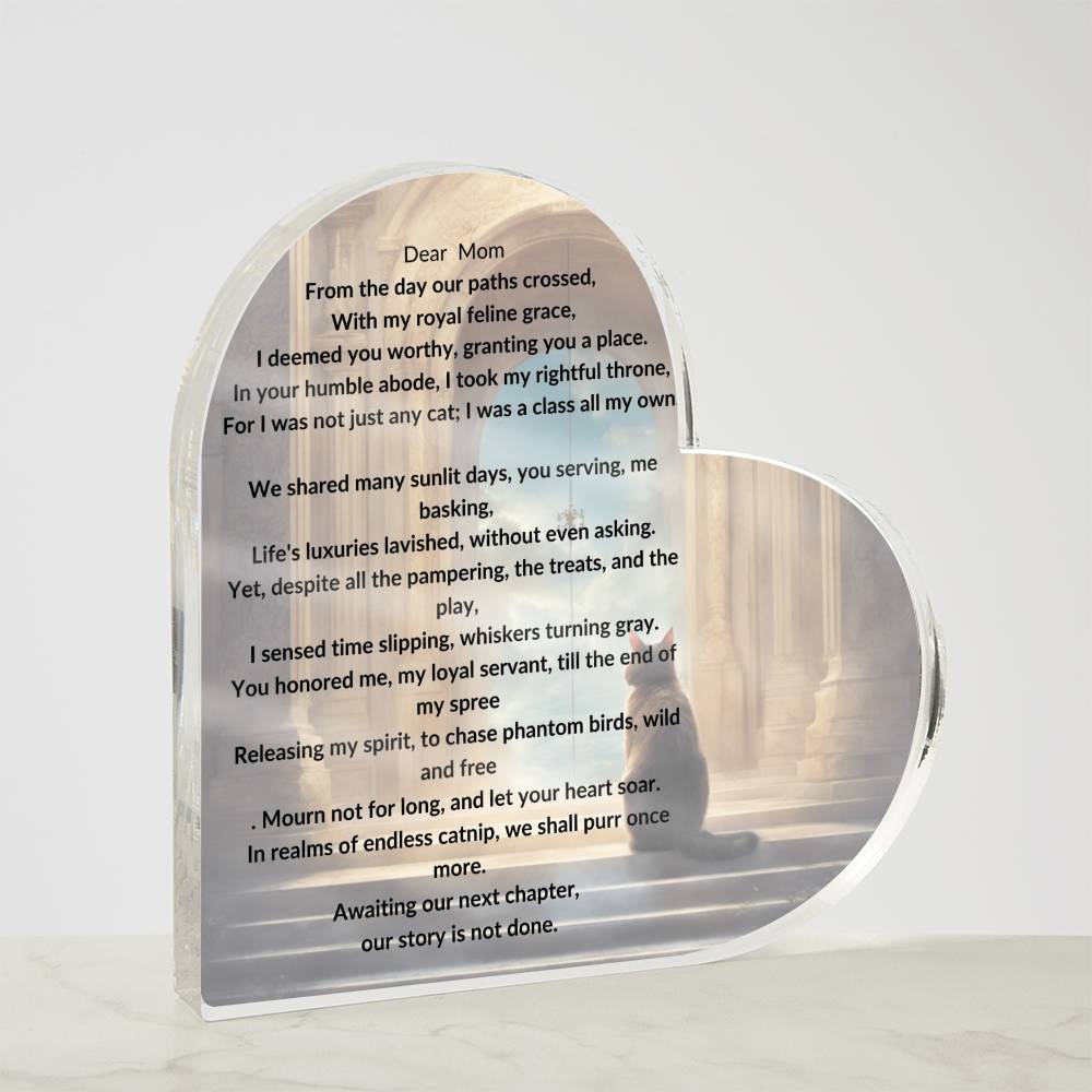 Placa conmemorativa del gato mimado