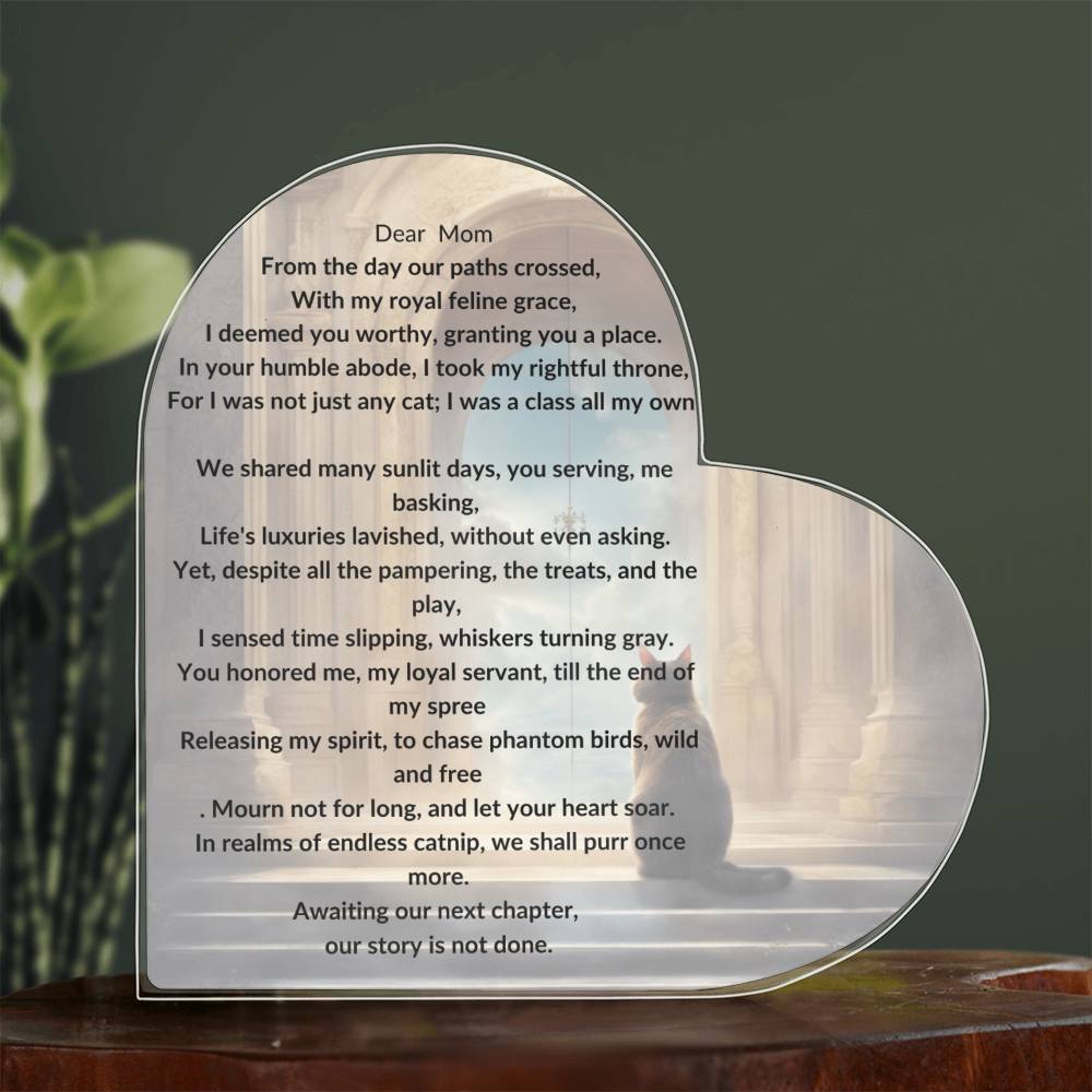 Placa conmemorativa del gato mimado