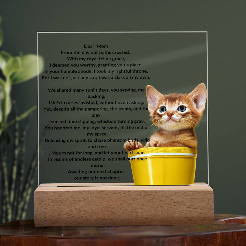 Placa acrílica del gato conmemorativo
