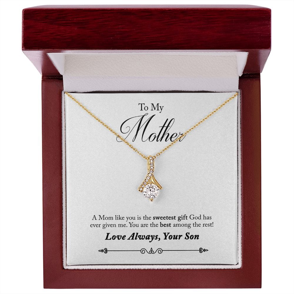A la madre del hijo: eres el mejor collar de belleza seductor